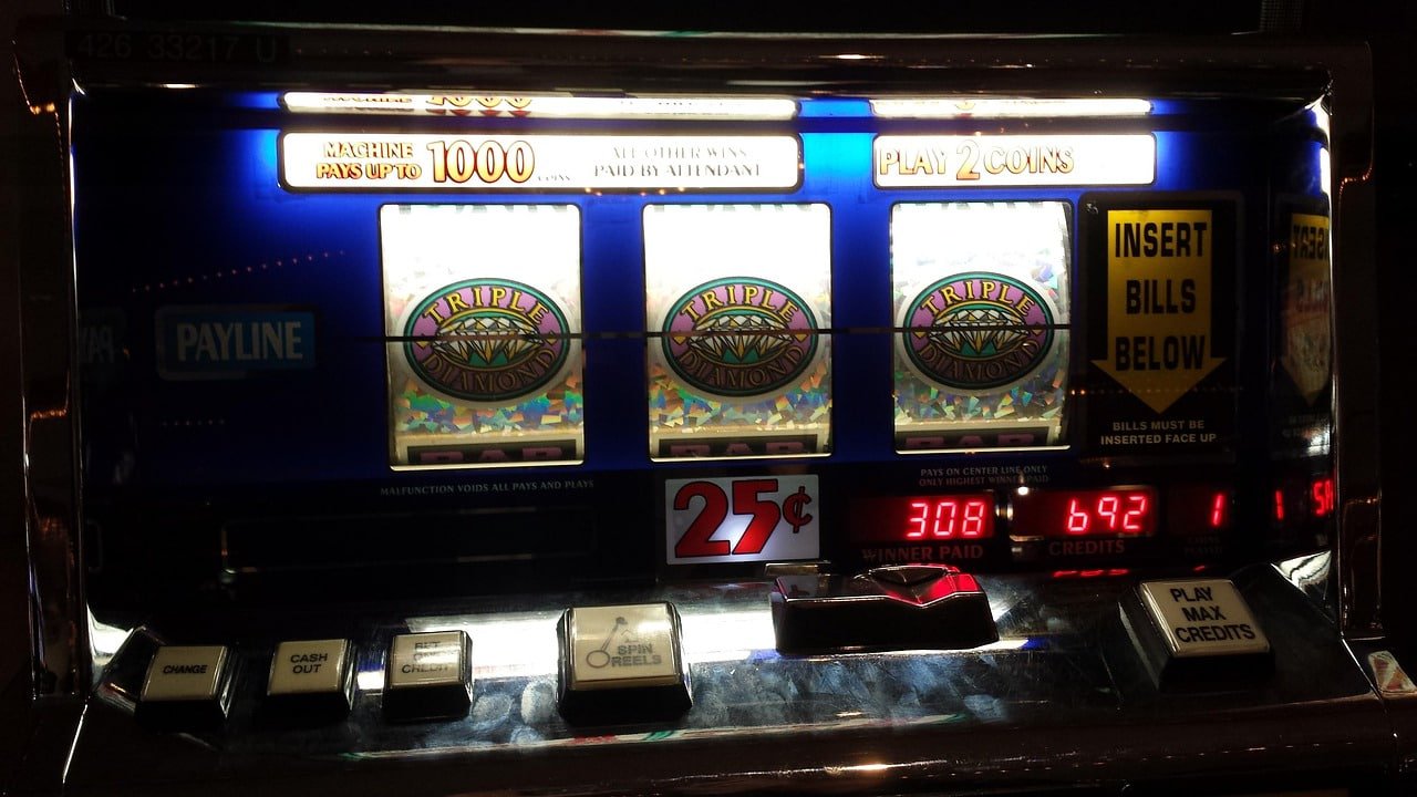 buzz win buzz win